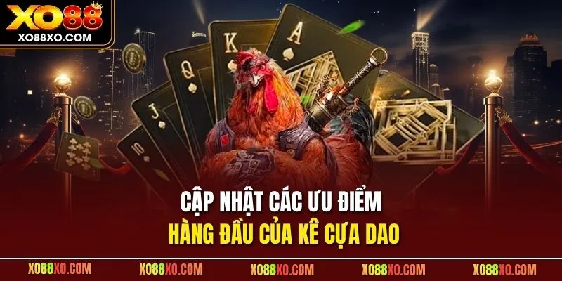 Cập nhật các ưu điểm hàng đầu của kê cựa dao