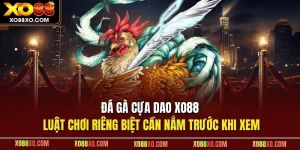 đá gà cựa dao