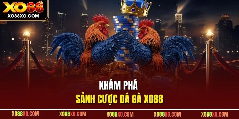 Khám phá sảnh cược đá gà XO88