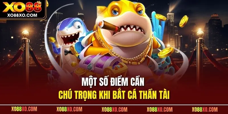 Một số điểm cần chú trọng khi bắt cá thần tài