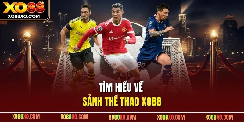 Tìm hiểu về sảnh thể thao XO88